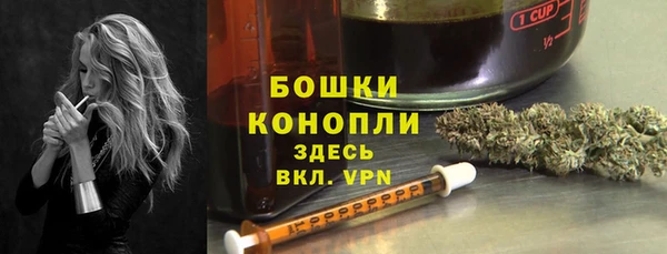 ешки Аркадак