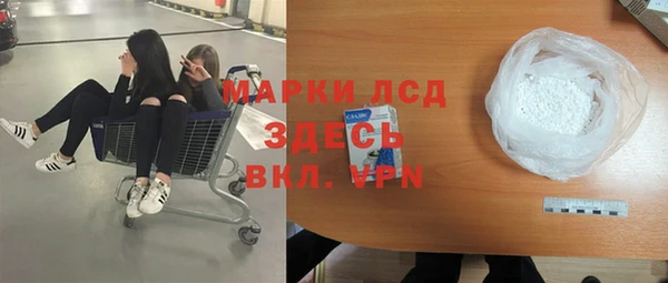 ешки Аркадак