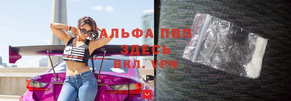 ешки Аркадак