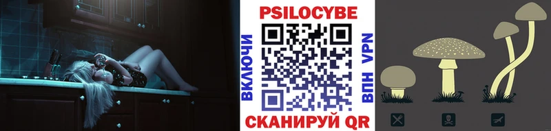 где можно купить   Долгопрудный  hydra ссылки  Галлюциногенные грибы мухоморы 